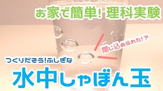 【家で簡単実験】閉じ込められた 水中しゃぼん玉 [upl. by Michigan]