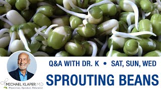 Sprouting Beans  Sprouting Cooking amp Removing Lectins [upl. by Joline250]