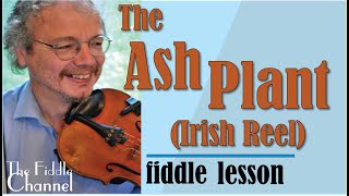 The Ashplant  Irish Reel [upl. by Faria]