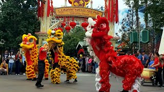 Dragon Dance  Disneyland Lunar New Year 2020 [upl. by Enimzaj]