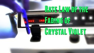 AP Chemistry Investigation 11 Rate Law of the Fading of Crystal Violet [upl. by Gilmore]