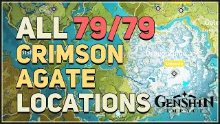 All 79 Crimson Agate Locations Genshin Impact [upl. by Trauts253]