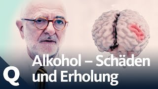 Wie gut kann sich der Körper vom Alkohol erholen  Quarks [upl. by Ayetal]