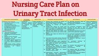 What is Urinary Tract InfectionUTICauses and treatment of urinary tract Infections in Urdu hindi [upl. by Newol]