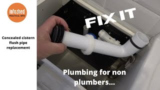 Replacing a concealed Cistern Flush Pipe [upl. by Longan]