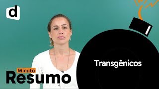 TRANSGÊNICOS  MINUTO RESUMO  DESCOMPLICA [upl. by Ahselef745]