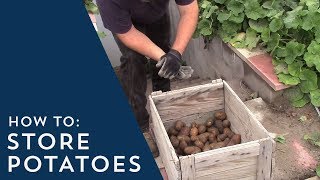 How to Store Potatoes [upl. by Lidia]