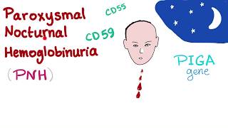 Anemia pathophysiology  Hematologic System Diseases  NCLEXRN  Khan Academy [upl. by Segalman582]