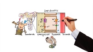 Pharmacology  DIURETICS MADE EASY [upl. by Shlomo]