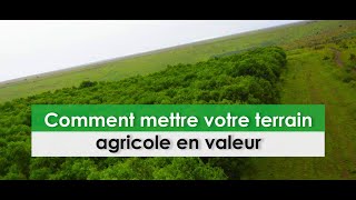 Comment mettre votre terrain agricole en valeur [upl. by Seko424]