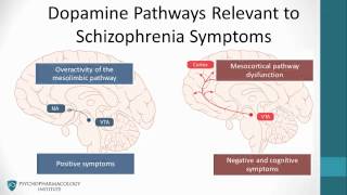 Psychopharmacology Antipsychotics amp The Dopamine Hypothesis [upl. by Lamson786]