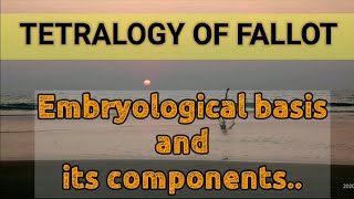 TETRALOGY OF FALLOT [upl. by Cele]