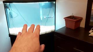 36 Gallon Bow Front Aquarium Setup [upl. by Ycnalc]