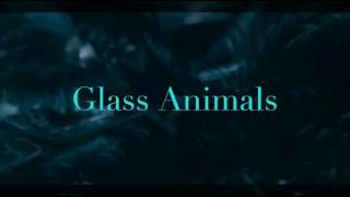 ToesGlass Animals Lyrics [upl. by Oimetra]