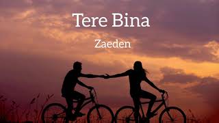 Tere Bina Zaeden Lyrics video [upl. by Etienne760]