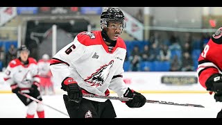 Bill Zonnon Highlights RouynNoranda Huskies QMJHL [upl. by Novyat]