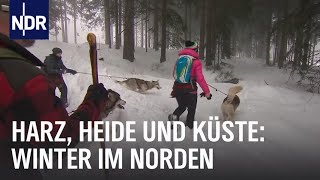 Erlebnis Winterzauber  die nordstory  NDR Doku [upl. by Annoeik]