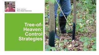 TreeofHeaven Control Strategies [upl. by Sachs]