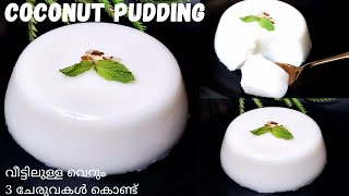 Coconut Pudding  കോക്കനട്ട് പുഡ്ഡിംഗ്  Easy pudding  Simple amp Tasty Pudding Recipe Malayalam [upl. by Abbotson288]