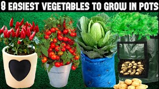 Top 8 Easy To Grow Vegetables For BeginnersSEED TO HARVEST [upl. by Yengac]