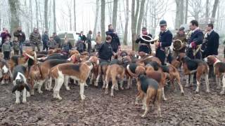 Curée venerie Cheverny Trompes de chasse [upl. by Coray]