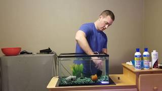 How to set up a fish tank [upl. by Anekam]