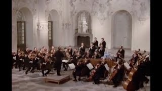 J S Bach Conciertos de Brandenburgo 16 [upl. by Alard]