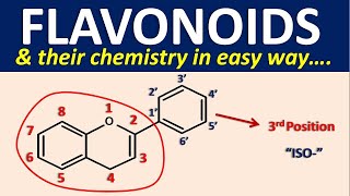 Flavonoids and their chemistry in easy way [upl. by Nahgem]