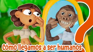 ¿Cómo evolucionó el Homo sapiens [upl. by Proudfoot122]