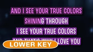 True Colors Karaoke Lower Key  Cyndi Lauper [upl. by Philipines]