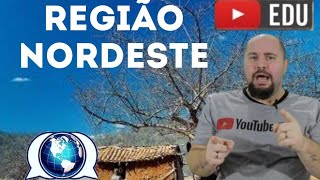 REGIÃO NORDESTE  Geografia  Resumo em 5 minutos  EF07GE11 [upl. by Phylys]