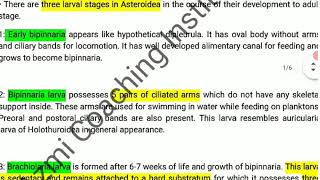 Larval Forms of EchinodermataPhylum EchinodermataZoologyBSc Zoology LectureDr Rehan Khan Sir [upl. by Ruella210]