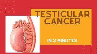 How to treat swollen and painful Testicle Dr Santosh Bethur [upl. by Anaeg]