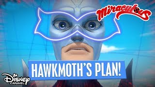 Hawk Moths Master Plan  Miraculous Ladybug  Disney Channel Africa [upl. by Alexis]