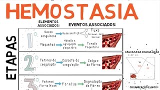 Hemostasia Coagulação do Sangue [upl. by O'Mahony]