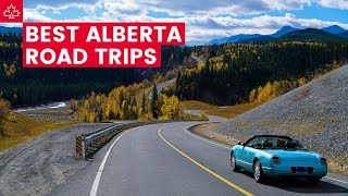 These are the BEST ROAD TRIPS in ALBERTA [upl. by Katonah]