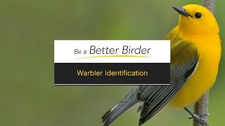 Be a Better Birder Warbler Identification [upl. by Gilchrist]