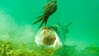 Insane Underwater Footage Fish Attacking Lures And Bass Fishing Tips [upl. by Areemas]