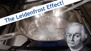 The Leidenfrost Effect [upl. by Ertnom877]