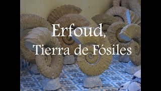 Erfoud Tierra de Fósiles  Marruecos 2016 [upl. by Brook542]