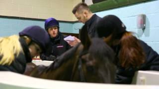 Equine A day in the life at Hartpury College [upl. by Sida855]