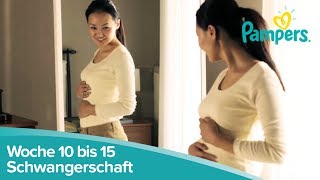 Schwangerschaftswoche 10 bis 15  Anzeichen und Symptome  Pampers [upl. by Hamel]