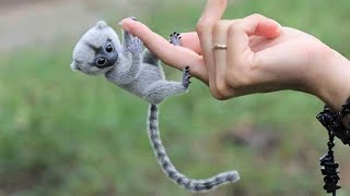 10 Cutest Exotic Animals In The World [upl. by Ayocal]