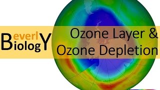 Ozone Layer amp Ozone Layer Depletion [upl. by Burdett]