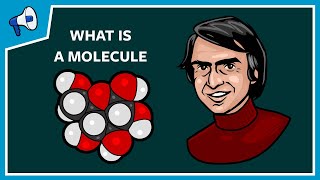 What Is a Molecule [upl. by Econah]