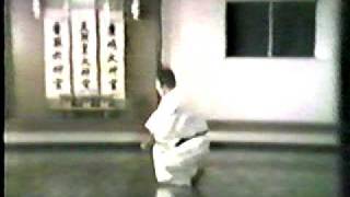 Heian Godan Shotokai Karate Do Kata [upl. by Rus]