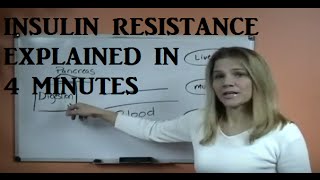 Insulin Resistance Explained [upl. by Tillinger392]