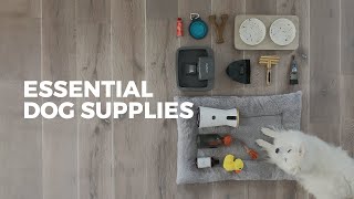 27 Items Every Dog Owner Should Have  ESSENTIAL SUPPLIES [upl. by Lsil]