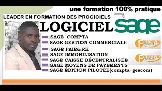 SAGE COMPTABILITÉ COMMENT EXPORTER LA BALANCE EN EXCEL [upl. by Ialohcin]