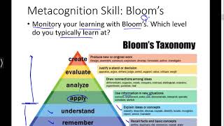 Metacognition Skills Learning to Learn [upl. by Chance]